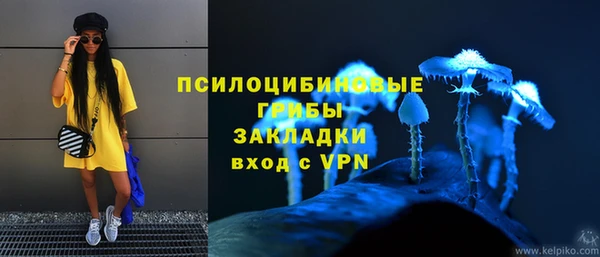 таблы Богородицк