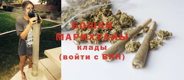 стафф Богородск