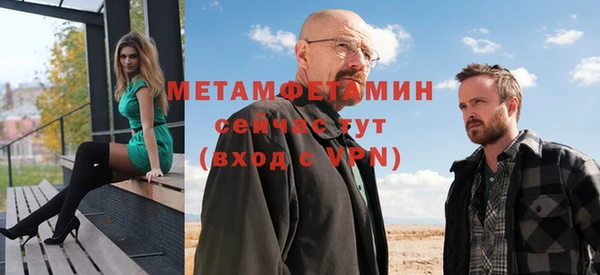 индика Саяногорск
