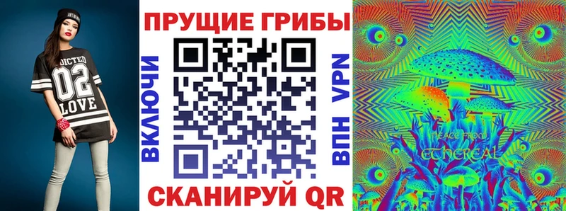 Псилоцибиновые грибы Psilocybine cubensis  Магадан 