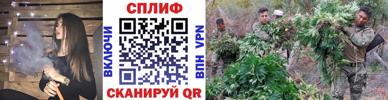 Марихуана ГИДРОПОН  Магадан 